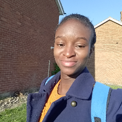 Adeola O. - Tutor in Middlesbrough