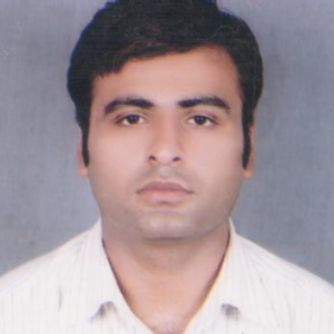 Parvesh K. - Tutor in 